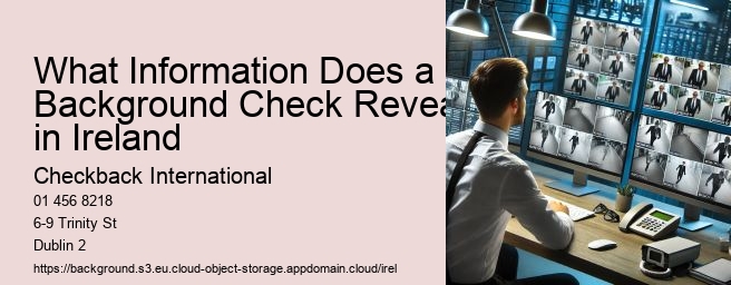 What Information Does a Background Check Reveal in Ireland